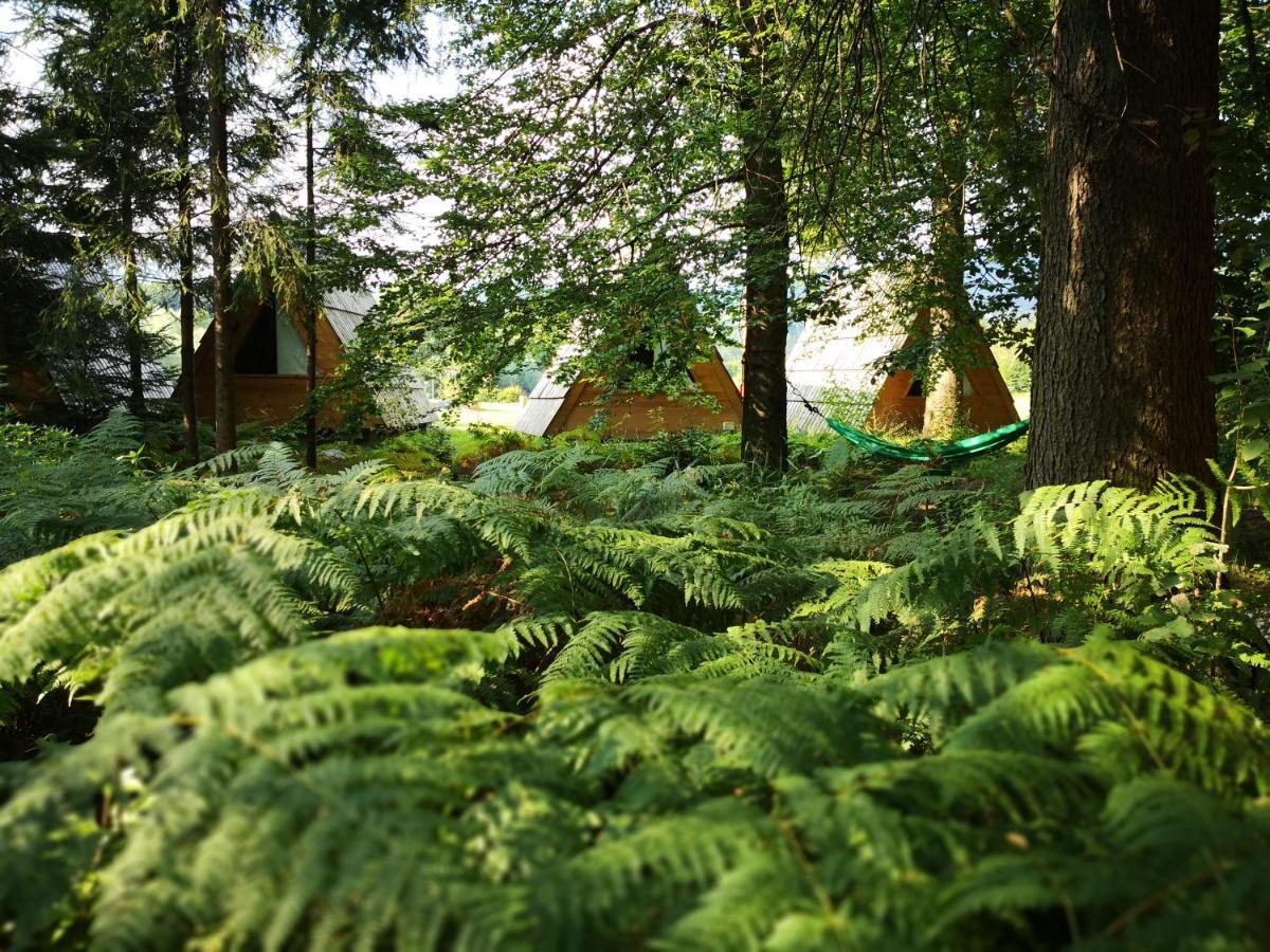 Glamping Forest Edge Kamnik Exteriör bild
