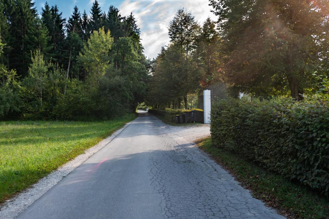 Glamping Forest Edge Kamnik Exteriör bild