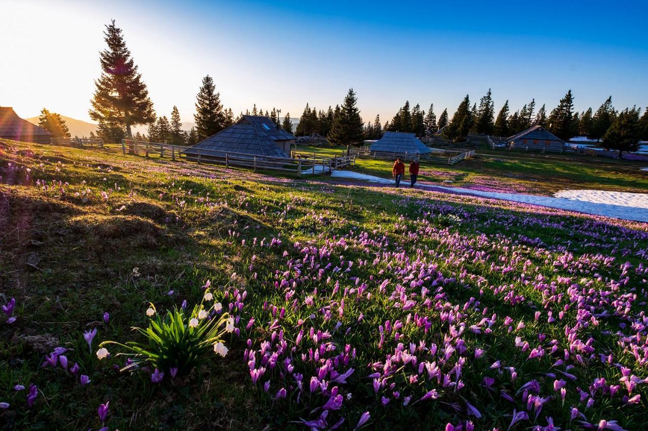Glamping Forest Edge Kamnik Exteriör bild